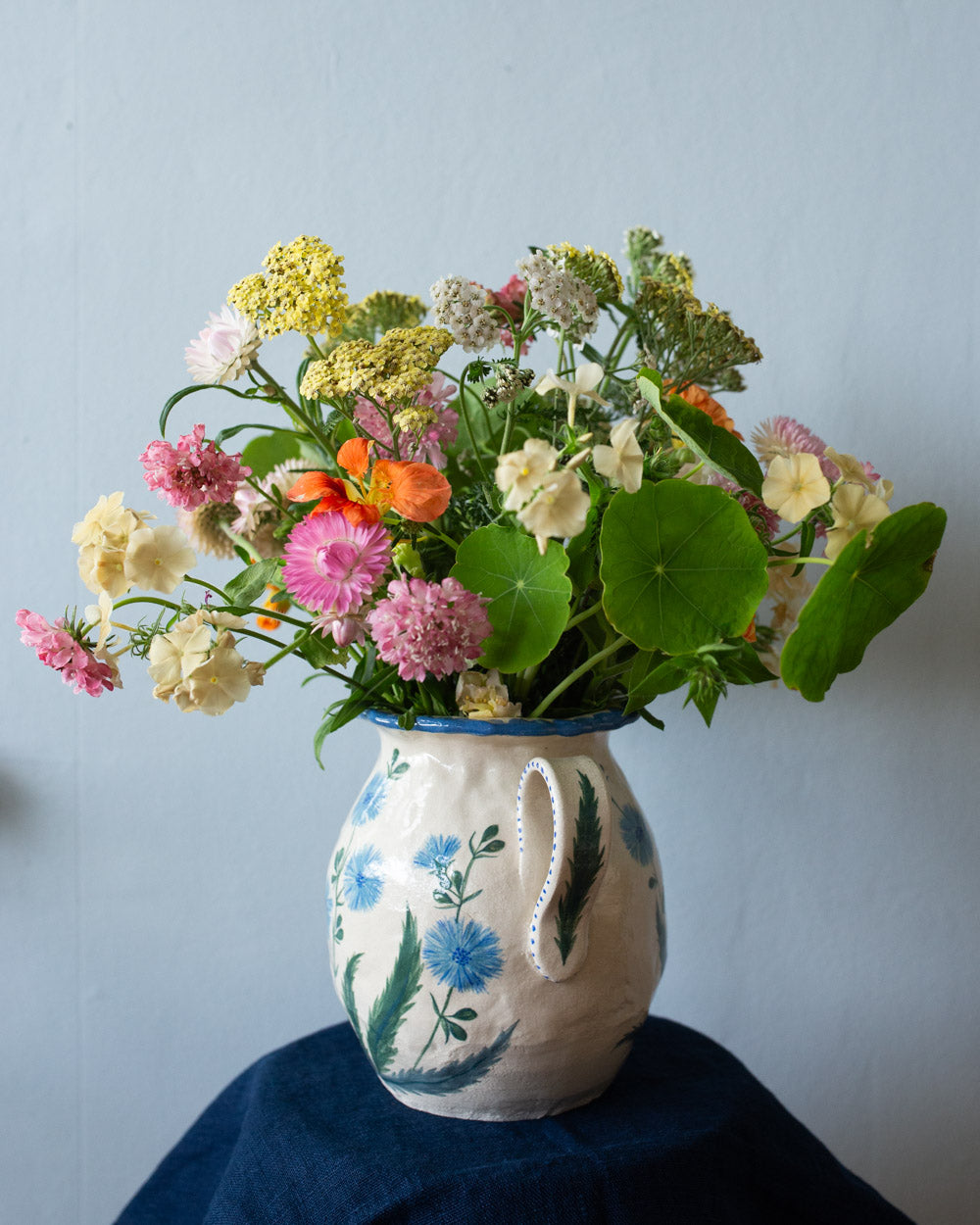 Cikoria, Vase