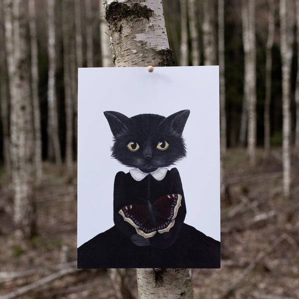 BLACK CAT, A4